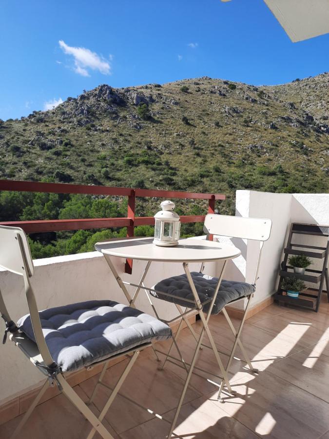 Apartmán Cozy Estudio "Edificio Siesta 2" Alcúdia Exteriér fotografie